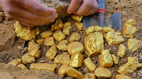 So Lucky Digging Up For Treasure Worth Million Dollar From Huge