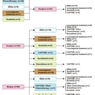 Flow Diagram Of Patient Selection Nens Neuroendocrine Neoplasms Nec