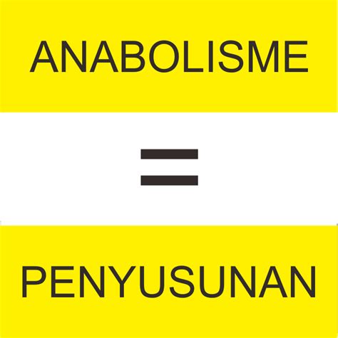 Pengertian Anabolisme Dan Tahapannya Lengkap Biologi Sel