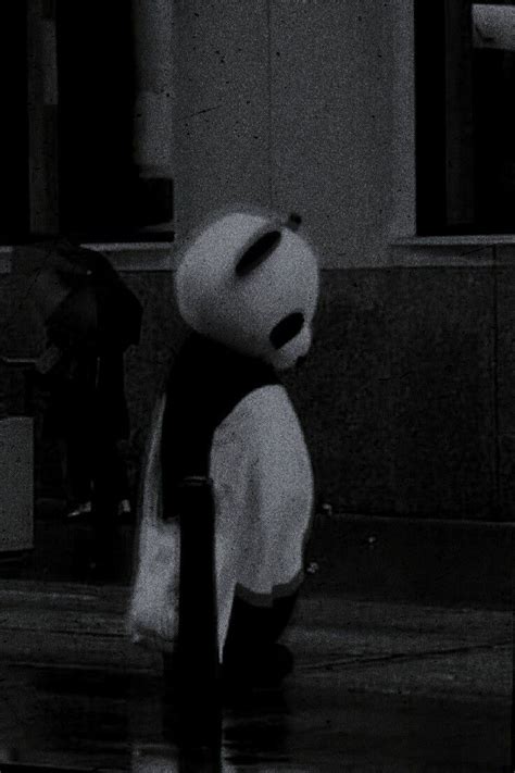 𝓢𝓪𝓭𝓟𝓪𝓷𝓭𝓪 •́ ‿ •̀ Teddy Bear Panda Teddy