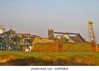 Sugarcane Plant Ethanol Production Stock Photo Shutterstock