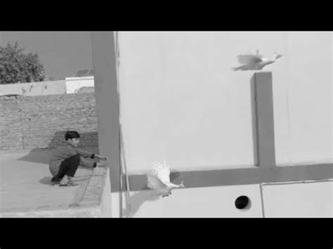 Moor Chaly Gay Humay Chor Kar Sarimchaudhary YouTube