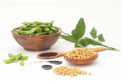 Edamame Fresh Green Soybeans In Pod Stock Photo Image Of Plant