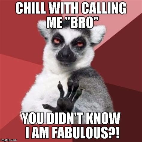 Chill Out Lemur Meme Imgflip