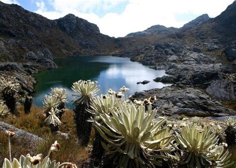 Cómo Llegar Al Páramo De Santurban Turismo Y Protección Del Páramo