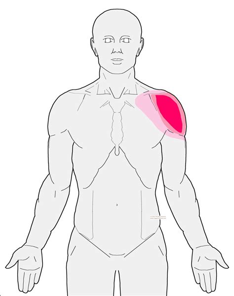 Pain in front of shoulder when reaching out to the side - Integrative Works