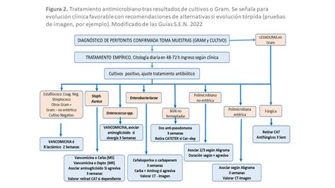 Peritonitis asociada a diálisis peritoneal Nefrología al día