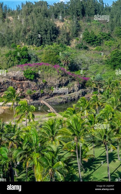 Allerton Garden Hawaii Kauai Usa Stock Photo Alamy