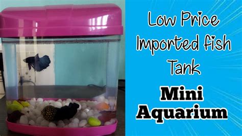 Cheapest Imported Fish Tank Mini Aquarium Setup For Betta Fish Youtube