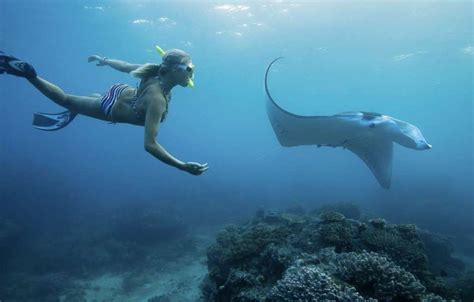 Private Nusa Penida Snorkeling Manta Point BALI TREKKING TOUR