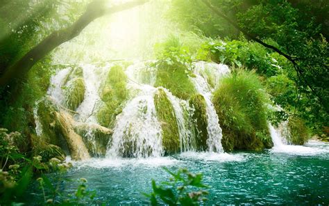 Forest Waterfall Wallpapers - Wallpaper Cave