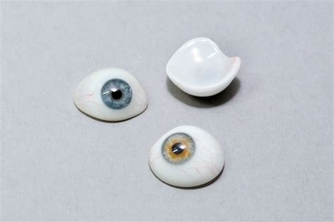 Prosthetic Glass Eyes