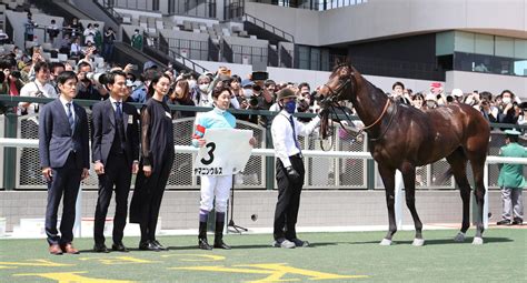 2連勝のヤマニンウルスを武豊騎手が絶賛「和製フライトラインになってほしいね」／京都6r 3歳馬特集 競馬写真ニュース 日刊スポーツ