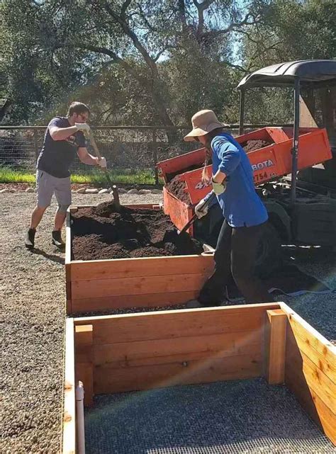 How To Fill Raised Garden Beds With Organic Soil ~ Homestead And Chill