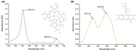 Ijms Free Full Text Application Of Antimicrobial Photodynamic Therapy For Inactivation Of