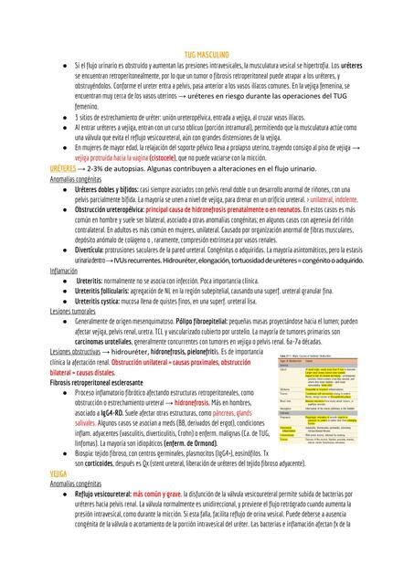 Resumen Del Libro Anatomia Patologica Robbins Capitulo Iovanny Cruz