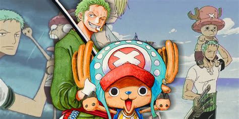 One Piece: How Zoro & Chopper Formed Their Friendship