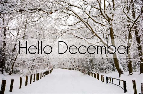 December Snow Wallpaper