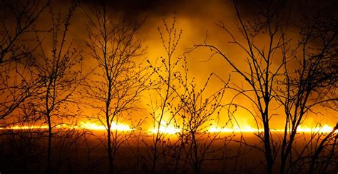 Ordenan Evacuar Una Ciudad De Canadá Por Amenaza De Gigantesco Incendio