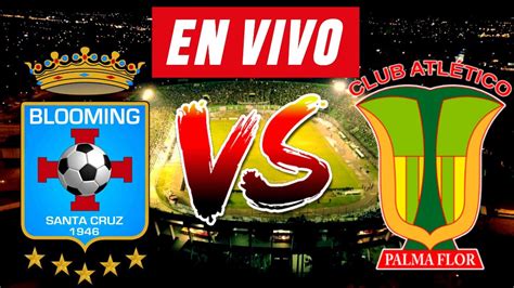 BLOOMING Vs ATLETICO PALMAFLOR EN VIVO DIVISION PROFESIONAL YouTube