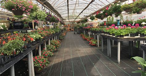 jmd garden  market moves locations offers