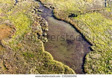 Aerial View Delta Okavango Bush Jungle Stock Photo