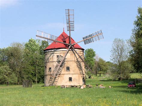 Světlík