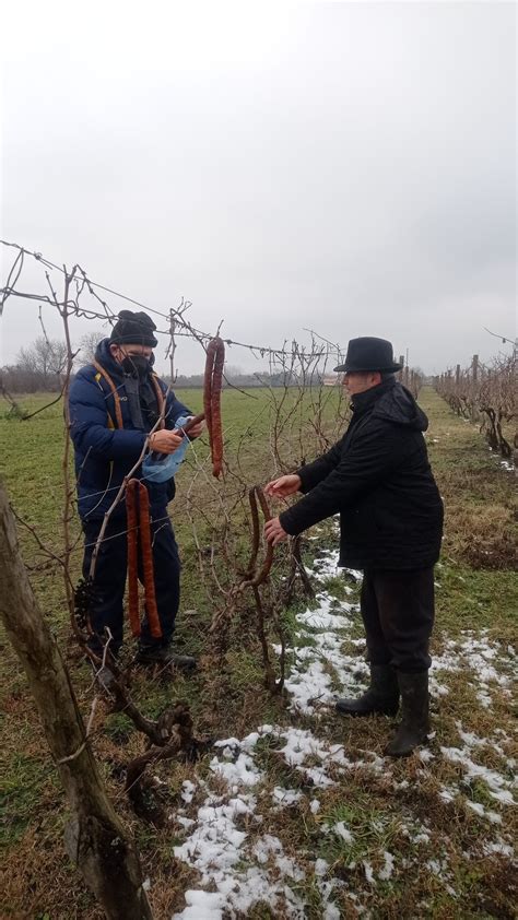 Vinkovo U Rumi 2023 Matija Gubec