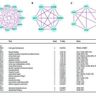 Top 3 Modules From The PPI Interaction Networks A Module 1 B