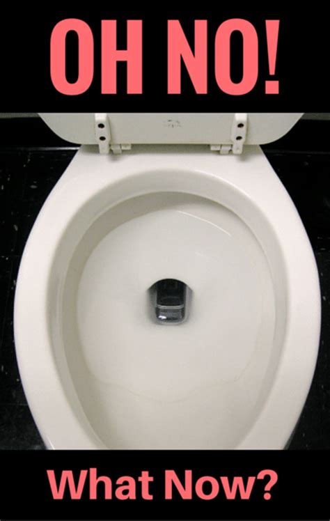 Dr Oz How To Save Your Phone After Dropping In The Toilet