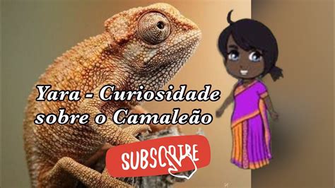 Yara Curiosidades Sobre O Camale O Youtube