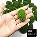 Woohome 30 PCS 3 Size Artificial Moss Rocks Decorative Green Moss