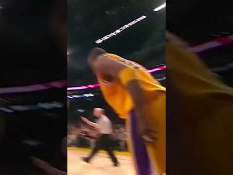 Kobe And Shaq Cold Photo Youtube