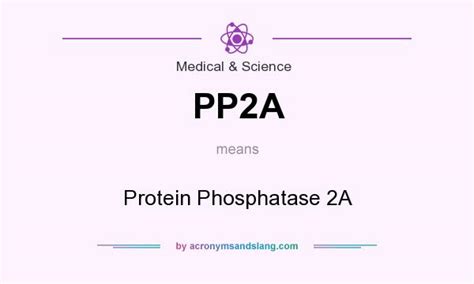 ppa protein phosphatase   medical science  acronymsandslangcom