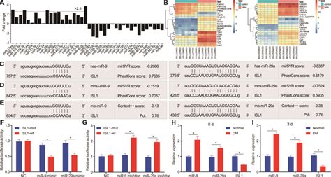 MiR 9 And MiR 29a Are Identified With High Expression In DM And Both