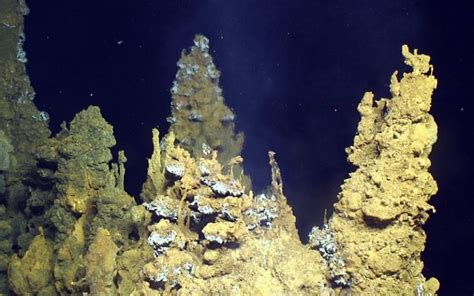 Deep sea vents had ideal conditions for origin of life