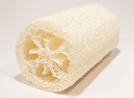 The Luffa / loofah skincare benefits - Doria Adoukè