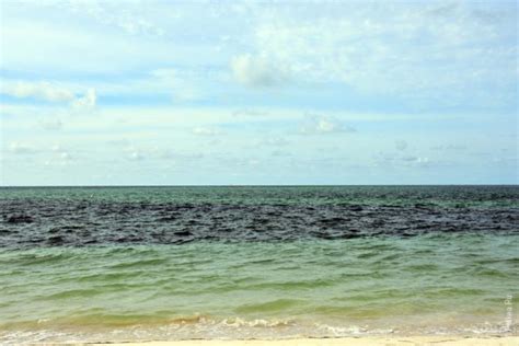 Флорида-Кис - наше путешествие из Майами по флоридским ключам | Florida ...