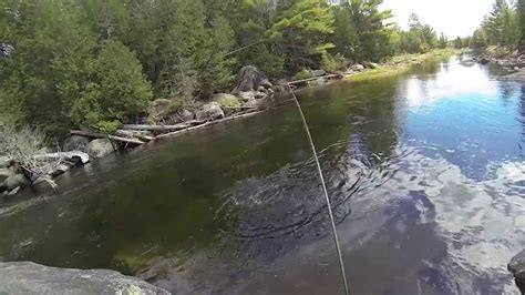 Catching A Big Maine Native Brook Trout Youtube