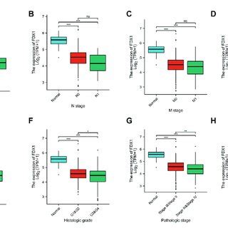 Representative Images Of Fdx Expression In Kirc Tissues And Their