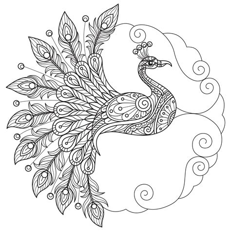 Peacock Hand Drawn For Adult Coloring Book 20402341 Vector Art At Vecteezy