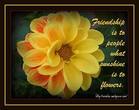 Give the Best Friendship Flowers from Online Shop