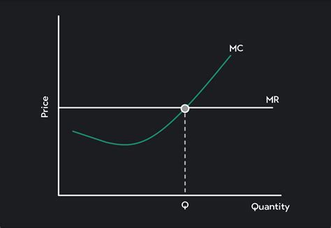 What Is Profit Maximization Outlier