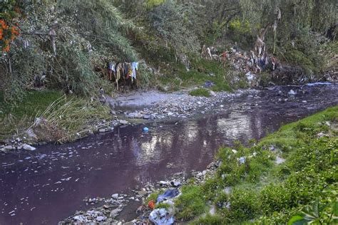 Cuerpos De Agua En Puebla Predomina Contaminación En 72 Por Ciento Grupo Milenio