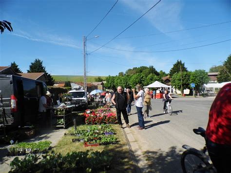 Brocante Et Foire Aux Plantes Sous Un Grand Soleil