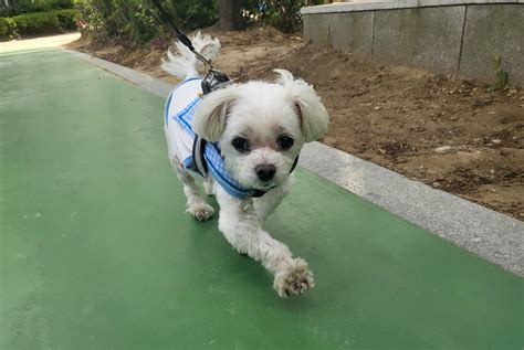 jjmn (Jem) / 작성글 - velog