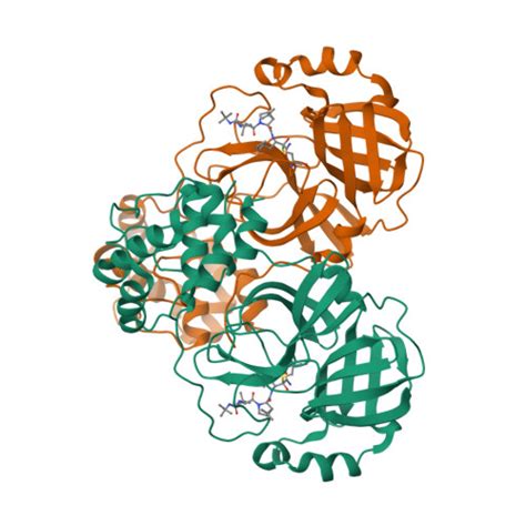 Rcsb Pdb Brp Crystal Structure Of The Ncov Main Protease