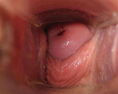Erect Penis In Vagina Orgasm