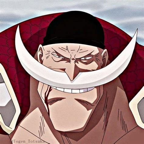 Icon Barba Branca Personagens De Anime Anime Anime Masculino