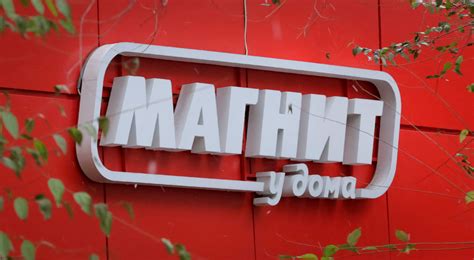 Russia's Magnit races to open discount stores as living standards slump ...